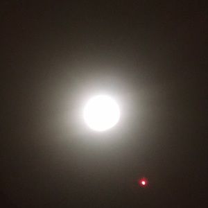 Meet your Posher, Blake